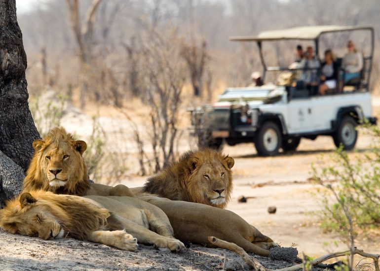 Hwange National Park